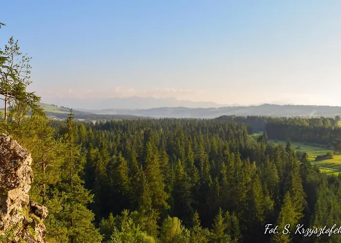 - Z Nuta Komfortu Nowa Biala